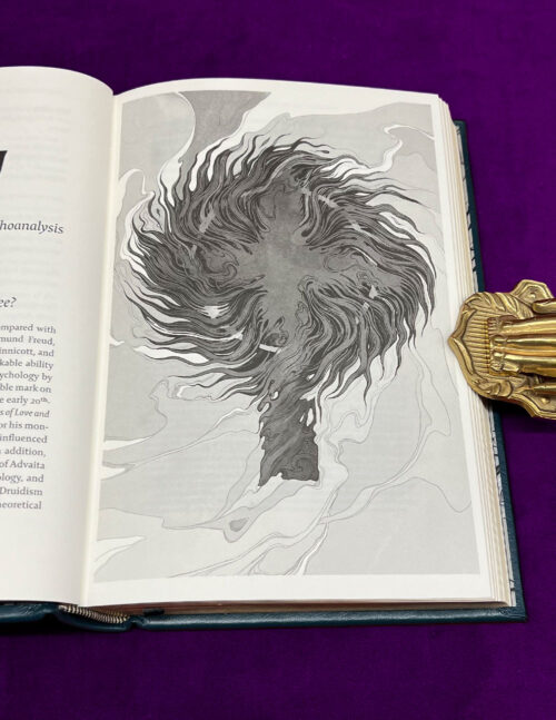 A DRUID IN PSYCHOLOGIST'S CLOTHING by Ian C. Edwards, PhD - Deluxe Leather Bound in Custom Slipcase Artisanal Edition - Image 4