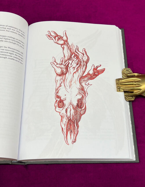 GOETIC ATAVISMS by Frater Acher & Craig Slee – Limited Edition Hardcover - Image 2