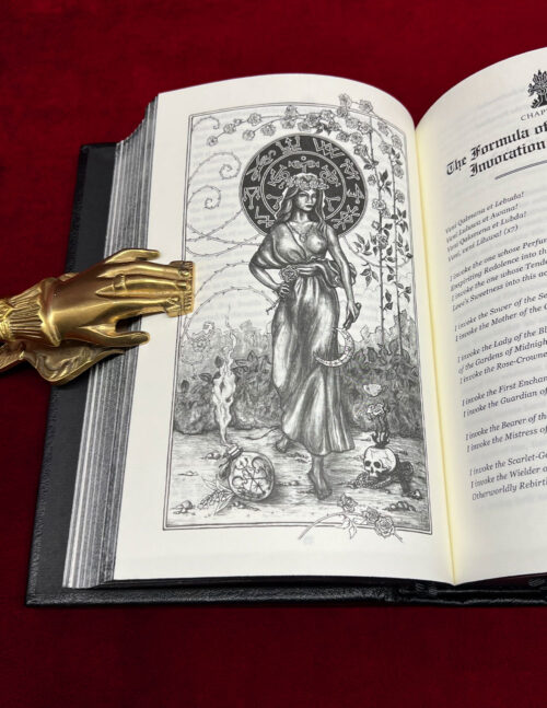 LIBER FALXIFER Vol 1, 2, 3 by N.A-A.218 - SPECIAL Deluxe Leather Bound Limited Edition Hardcover (RARE!) - Image 3