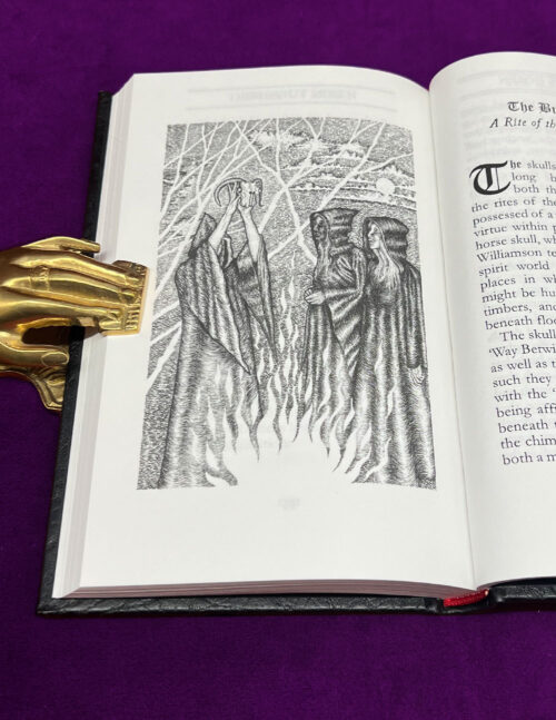 THE DEVIL'S DOZEN: Thirteen Craft Rites of the Old One by Gemma Gary (Limited Hardcover BLACK Edition) - Image 2