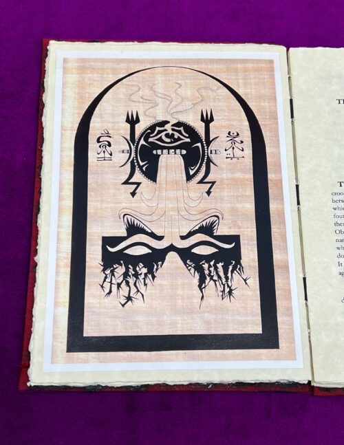 TOTEMIC INVOCATION OF THE SHADOW SELVES: A Rite of Otherness Entire - Singed and Sigilized Limited Hardcover in Leather Wrap (Very Rare) - Image 4