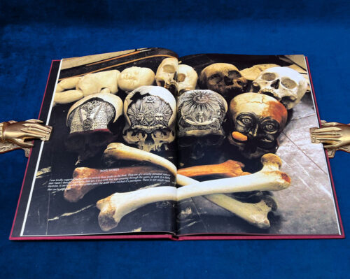 A SECOND NATURE by Jose Gabriel Alegria Sabogal (Limited Edition Hardcover) - Image 2