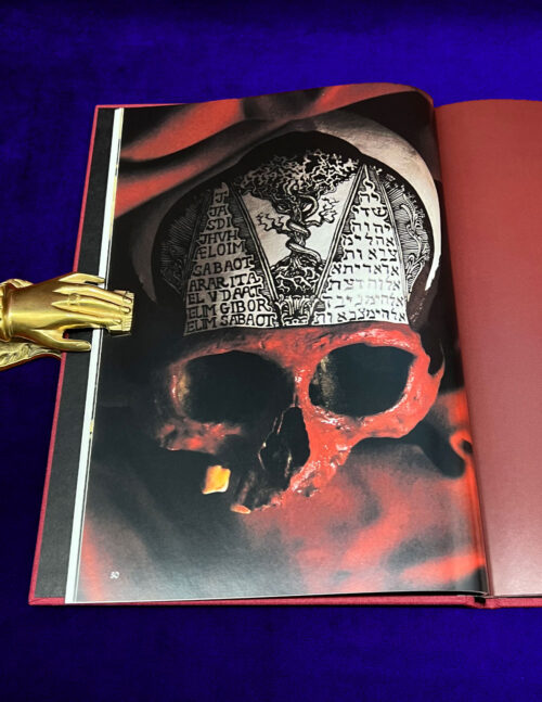 A SECOND NATURE by Jose Gabriel Alegria Sabogal (Limited Edition Hardcover) - Image 3