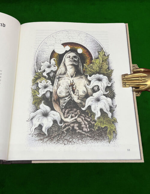 CLAVICULA NOX: Maleficarum Nigra V Magic and Mayhem - Limited Edition Hardcover - Image 3