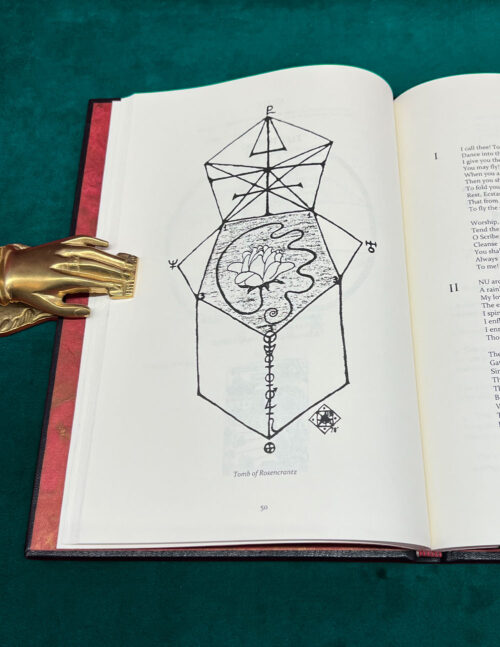 Liber Sigil A IAF by AI-ON (AKA Denny Sargent) - Deluxe Leather Bound Limited Edition Hardcover - Image 2