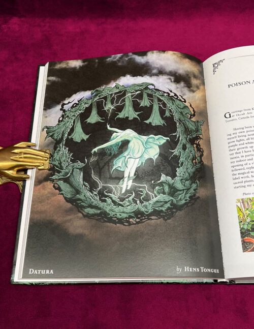 ALRAUNE: THE POISONERS GUILD by Chthonia, Rebecca Beyer, Tugce Okay & more (Hardcover Edition) - Image 3