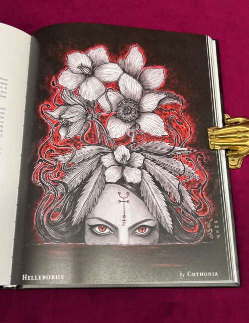 ALRAUNE: THE POISONERS GUILD by Chthonia, Rebecca Beyer, Tugce Okay & more (Hardcover Edition) - Image 4