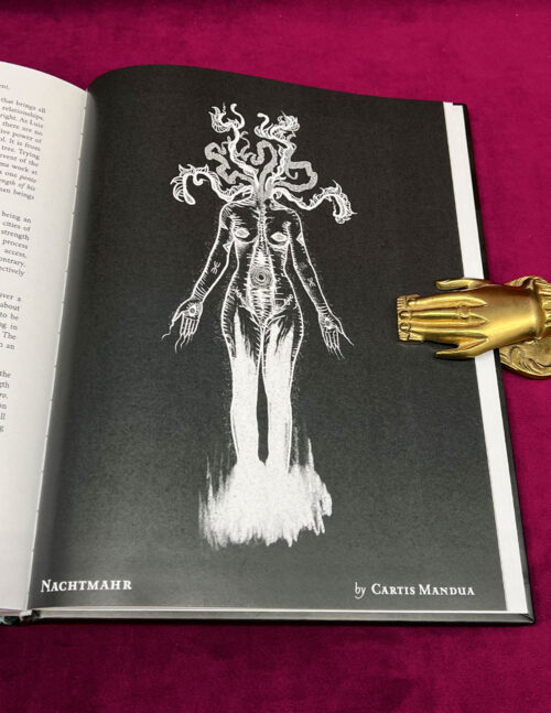 ALRAUNE: THE POISONERS GUILD by Chthonia, Rebecca Beyer, Tugce Okay & more (Hardcover Edition) - Image 5