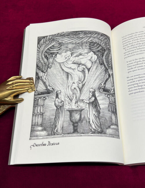 HOLY DAIMON by Frater Acher - Paperback Edition - Image 2