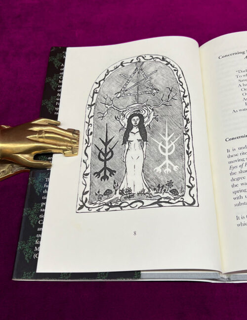 THE RESURRECTION OF THE MEADOW by Robin Artisson - Hardcover Edition - Image 2