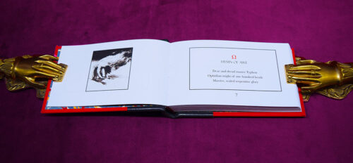 IO TYPHON by Harper Feist - Limited Edition Hardcover Quarter Bound in Leather with Custom Slipcase - Image 3