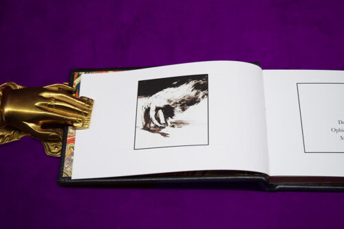 IO TYPHON by Harper Feist - Deluxe Leather Bound and Slipcased Limited Edition Hardcover - Image 4