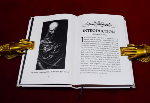 LIBER BARATCHIAL: The Spiritual Poison and the Alchemical Katharsis by Edgar Kerval - Deluxe Leather Bound Limited Edition - Image 2