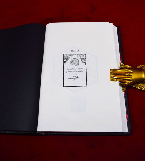 RUNA: The Wisdom of the Runes by A.D. Mercer - SIGNED Fine Deluxe Leather Bound Edition In Custom Solander Box with Wood Runes. - Image 5