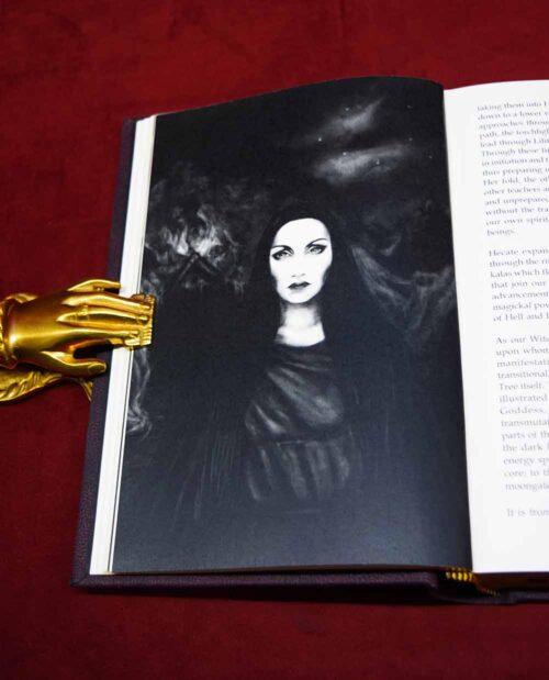 QUEEN OF HELL: Special Hand-bound Dark Moon Huntress Edition with Extra Material by Mark Alan Smith - Semi-Deluxe Leather Bound Limited Edition Hardcover - Image 4