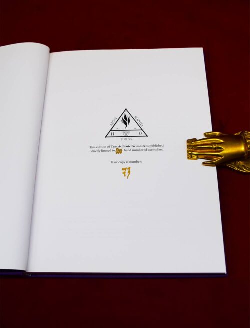 TANTRIC BRUTE GRIMOIRE: A Magical Grammar of the Psychopathology Stirred by the Night & Magic by Angela Edwards - Limited Edition Harcover - Image 2