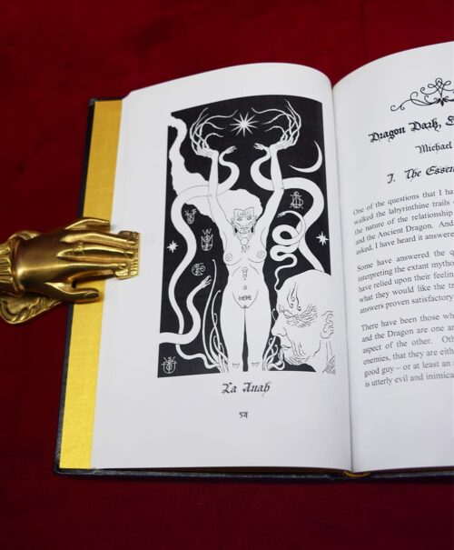 NOXAZ edited by Edgar Kerval - Deluxe Leather Bound Edition - Image 3