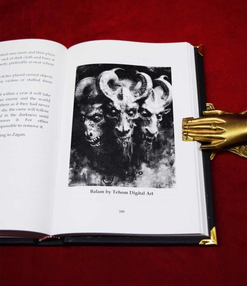 THE GRIMOIRE OF KINGS By Cain D. Thorson - Limited Edition Hardcover - Image 4
