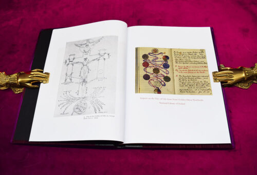 W.B. YEATS: The Tarot and The Golden Dawn by Kathleen Raine - Limited Edition Hardcover in Quarter Leather and Moire Silk - Image 2