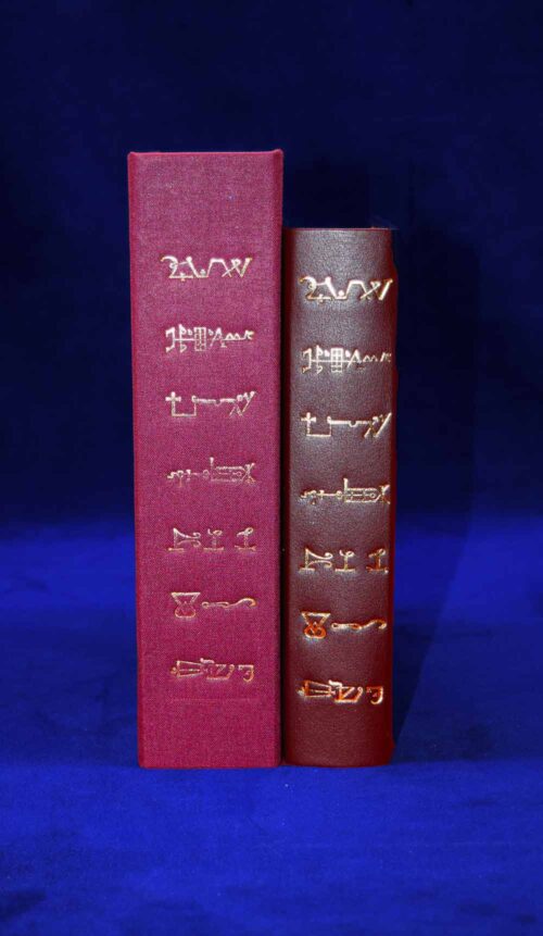 HISTORY OF MAGIC by Eliphas Levi - Deluxe Leather Bound Edition in Custom Clamshell Box - Image 5