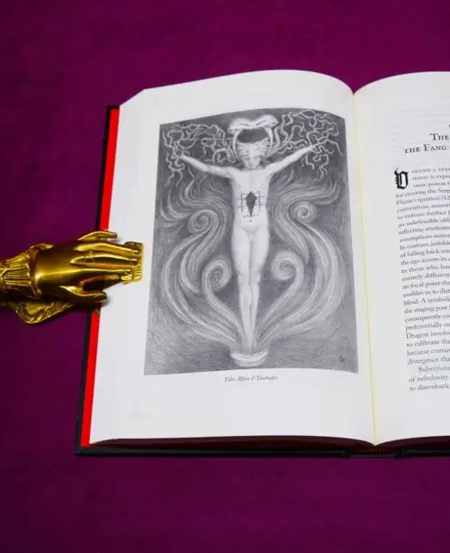 LIBER EXIMO CARNEM by Peter Hamilton-Giles - Limited Edition Hardcover - Image 2