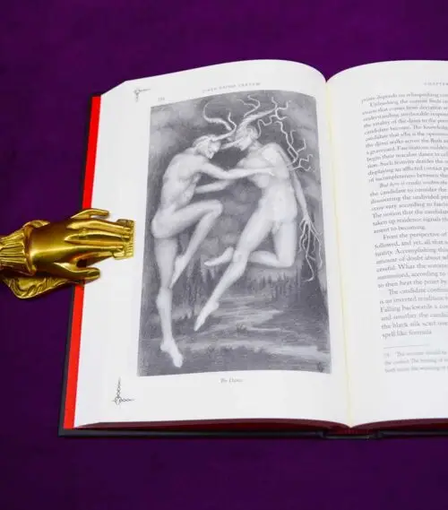 LIBER EXIMO CARNEM by Peter Hamilton-Giles - Limited Edition Hardcover - Image 3