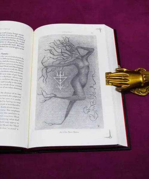 LIBER EXIMO CARNEM by Peter Hamilton-Giles - Limited Edition Hardcover - Image 4
