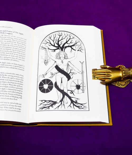 VIRIDARIUM UMBRIS: The Pleasure-Garden of Shadow by Daniel A. Schulke (Arbor Infernis Edition Deluxe Limited Edition with hand drawn talisman) - Image 2