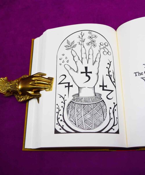 VIRIDARIUM UMBRIS: The Pleasure-Garden of Shadow by Daniel A. Schulke (Arbor Infernis Edition Deluxe Limited Edition with hand drawn talisman) - Image 4