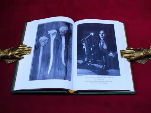 TRADITIONAL WITCHCRAFT: A Cornish Book of Ways by Gemma Gary - in Artisan Green Goat Leather in Slipcase Special Fine Edition with Original Art one of only 5 copies! - Image 5