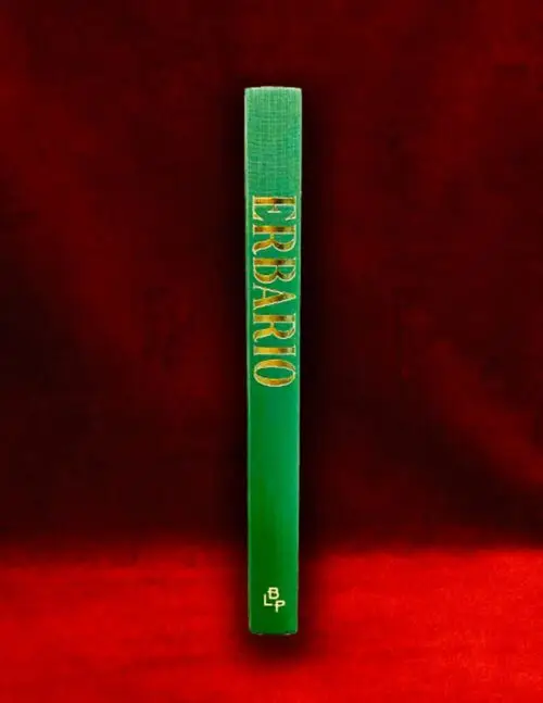 ERBARIO Transcribed by Alice Rocchetti (Hardcover Edition) - Image 2