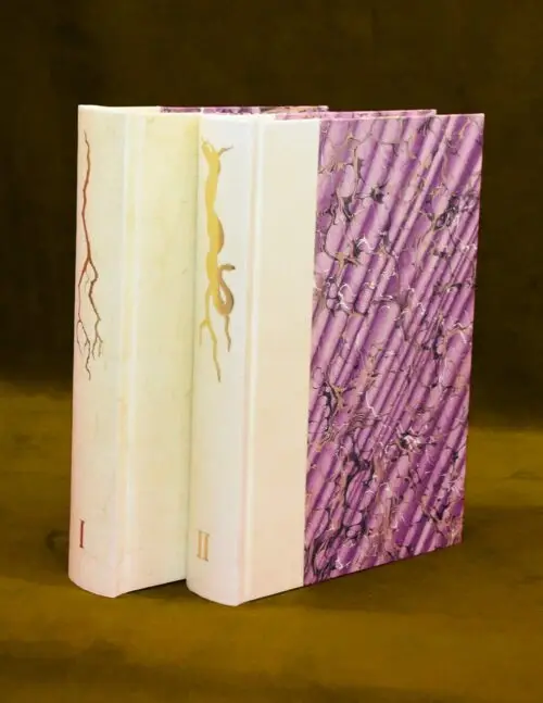 GEOSOPHIA: The Argo of Magic by Jake Stratton-Kent (Deluxe Draco Edition Quarter Bound in Veiny Vellum and Custom Marbled Boards in Slipcase) - Image 3