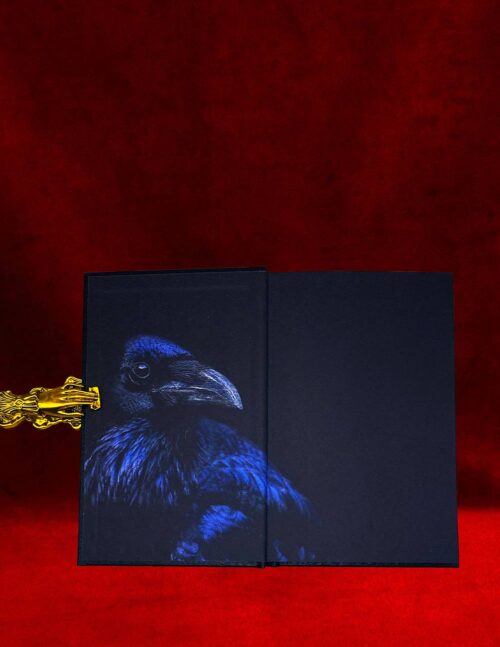 THE BLACK RAVEN: A Study in the Folk Necromancy of Early Modern Germany (Hardcover Edition) - Image 2